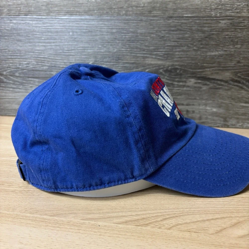 Chicago Cubs Hat Cap Strap Back Blue MLB Baseball 2016 Division Champions '47‎